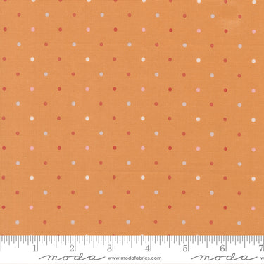 Wild Honey - Magic Dot Honey