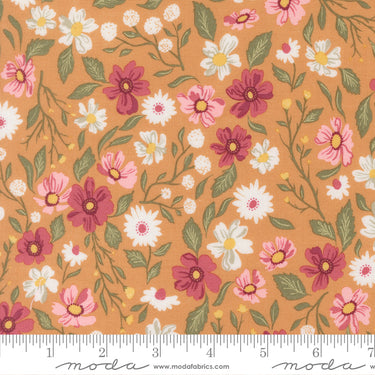 Wild Honey - Wildflower Dance Honey