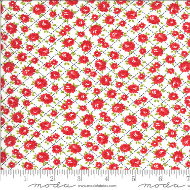 Shine On - Roses White