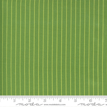 Sunday Stroll - Wide Stripe Green