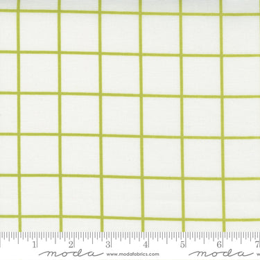 One Fine Day - Windowpane Ivory Green
