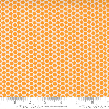 One Fine Day - Shine Orange