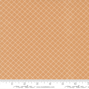 Sunnyside - Graph Apricot