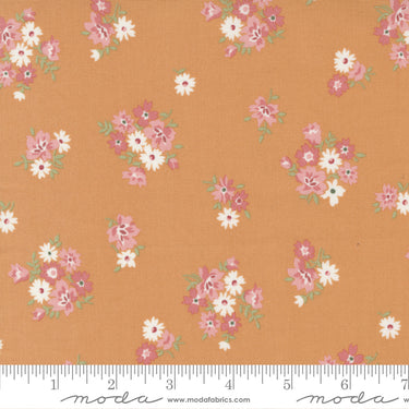 Sunnyside - Fresh Cuts Apricot