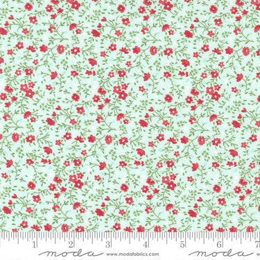 Lighthearted - Meadow Light Aqua
