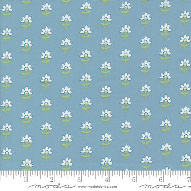 Shoreline - Coastal Floral Light Blue
