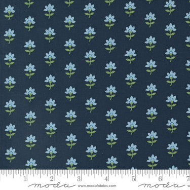 Shoreline - Coastal Floral Navy