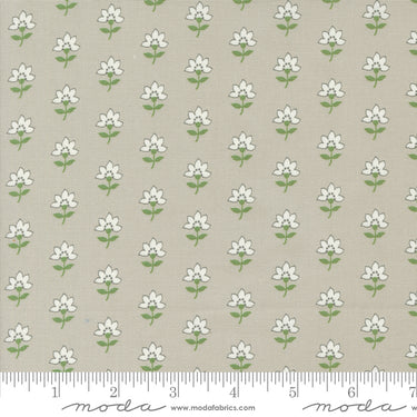 Shoreline - Coastal Floral Grey