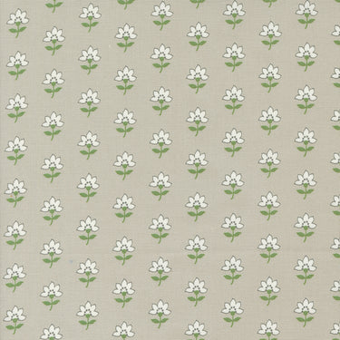 Shoreline - Coastal Floral Grey