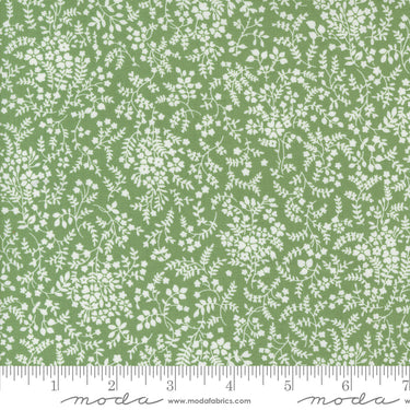 Shoreline - Breeze Green
