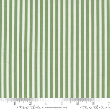Shoreline - Simple Stripe Green
