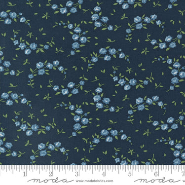 Shoreline - Summer Navy
