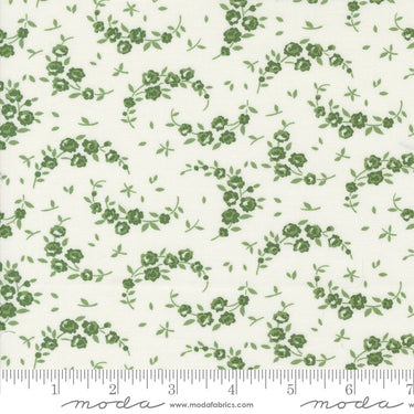 Shoreline - Summer Cream Green