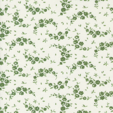 Shoreline - Summer Cream Green
