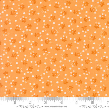 Summertime - Fairground Orange