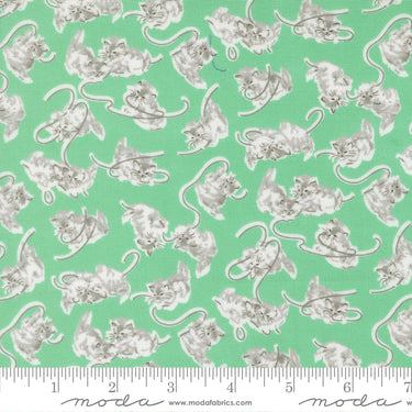 A Cat Named Stitch - Georgie Green - PRE-ORDER DUE MAY