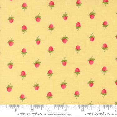 Bloomsberry - Bundle of 10 Fat Quarters with 1 Free (1)