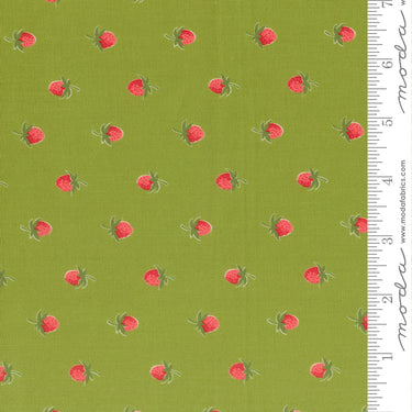 Bloomsberry - Bundle of 10 Fat Quarters with 1 Free (2)