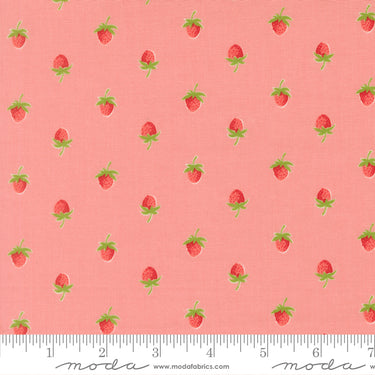 Bloomsberry - Bundle of 10 Fat Quarters with 1 Free (1)