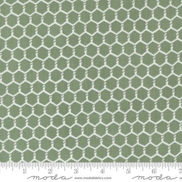 Willow's Farm - Chickenwire Sage