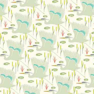 Flora and Fauna - Wetlands Fog