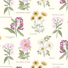 Botanic Garden - Botanic Flowers On Cream