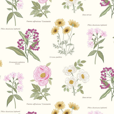 Botanic Garden - Botanic Flowers On Cream