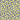 Inflorescence - Grid Flowers On Charcoal With Yellow Neon