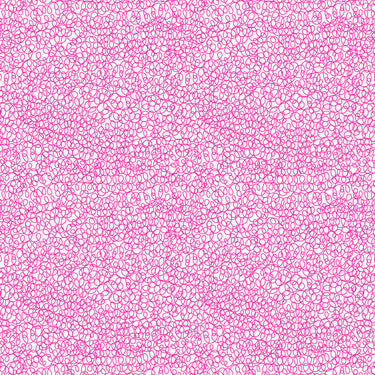 Inflorescence - Scribble With Pink Neon