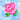 The Flower Collection by Delphine Brooks - Rose Natural