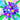 The Flower Collection by Delphine Brooks - Forget Me Nots Bright