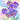 The Flower Collection by Delphine Brooks - Pansies Bright