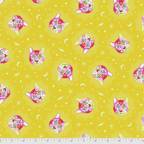 Curiouser and Curiouser by Tula Pink - Cheshire Wonder