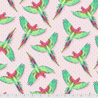 Daydreamer - Macaw You Later Dragonfruit