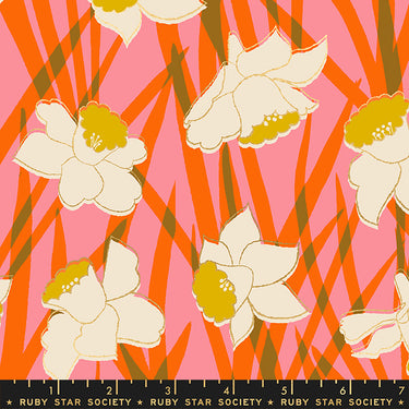 Ruby Star Society - Reverie - Daffodils Fat Quarter Bundle - 3 FQs