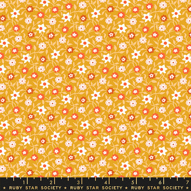 Ruby Star Society - Lil - Creeping Vine Fat Quarter Bundle - 3 FQs