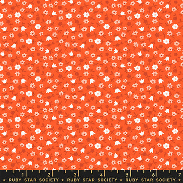 Ruby Star Society - Lil - Catalog Calico Fat Quarter Bundle - 3 FQs