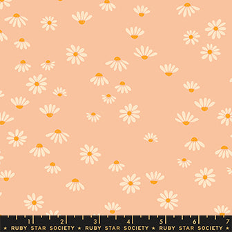 Ruby Star Society - Honey - Chamomile FQ Bundle