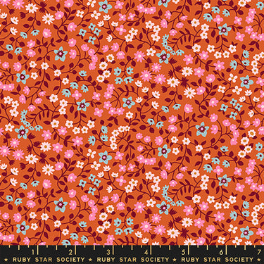 Ruby Star Society - Strawberry and Friends - Clothesline Pecan