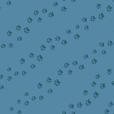Ruby Star Society - Dog Park - Wander Chambray