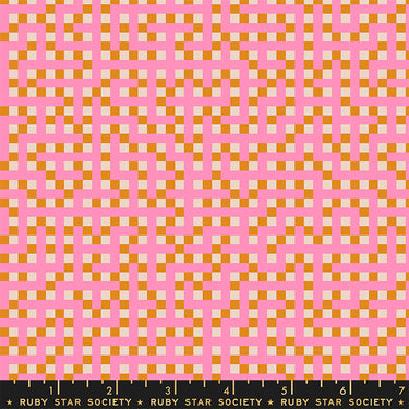 Ruby Star Society - Picture Book - Maze Flamingo