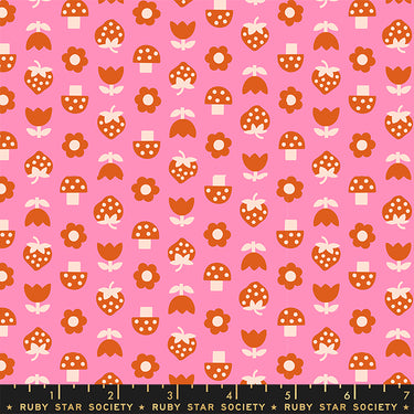 Ruby Star Society - Picture Book - Strawbitties Flamingo