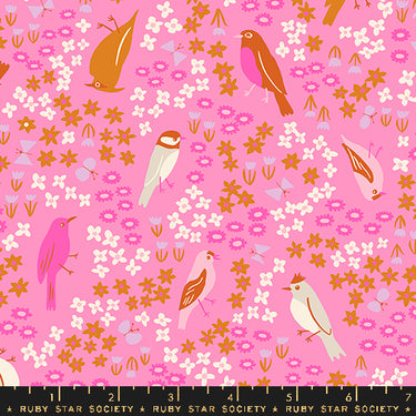 Ruby Star Society - Bird Is The Word by Kimberly Kight - Spark Bird Flamingo