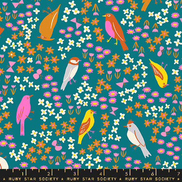 Ruby Star Society - Bird Is The Word by Kimberly Kight - Spark Bird Storytime