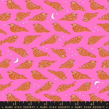 Ruby Star Society - Bird Is The Word by Kimberly Kight - Whippoorwill Lipstick