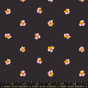 Ruby Star Society - Bird Is The Word by Kimberly Kight - Violet Soft Black