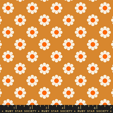 Ruby Star Society - Meadow Star - Honey Pie Caramel