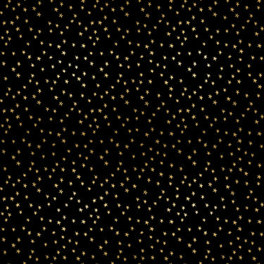 Ruby Star Society - Starry 2023 - Mini Starry Black Gold