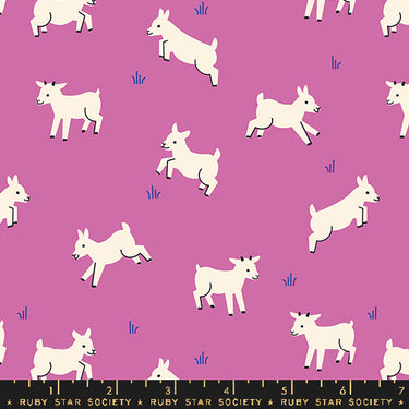 Ruby Star Society - Animal Animal - Baby Goats Heliotrope