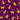 Jewel Tones - Cheeky Leopard Purple